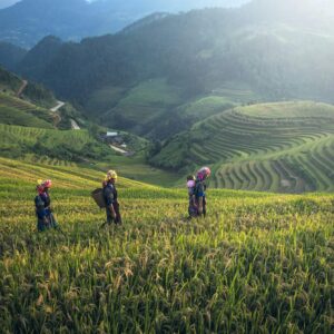 marche hmong Laos-Flav'in street